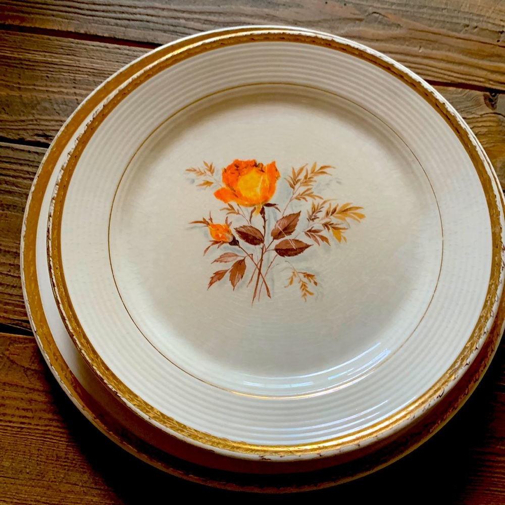 Triumph plates